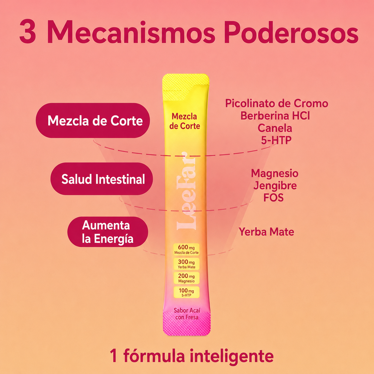 LeeFar Quema Grasas Mix